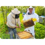 Полезная информация про мёд и пчёл