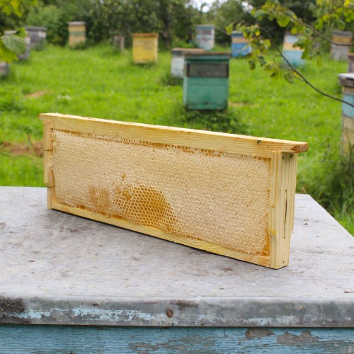 Рамка с натуральным мёдом в сотах 2023 года, 2 кг.