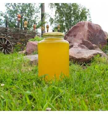 Липовый мёд 2023 года в пластиковом ведерке, 3 л. (4,5 кг)