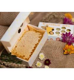 Интернет Магазин Пчеловодства В Рязани