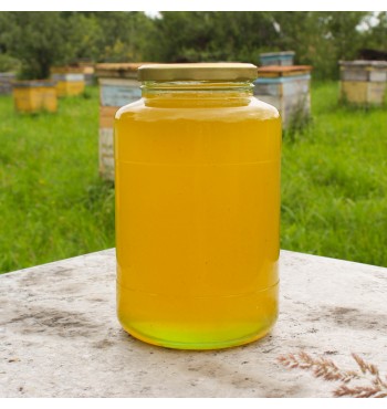 Цветочный лесной мёд 2023 года, 3 л. (4,5 кг)